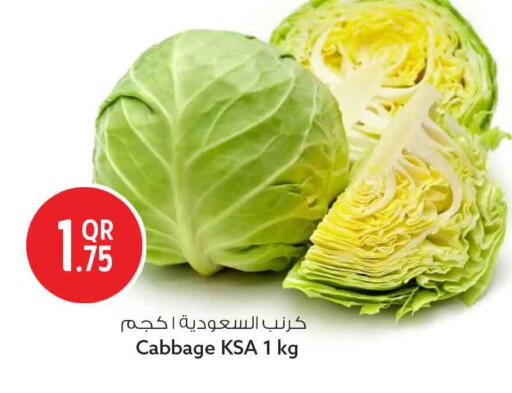 Cabbage available at سفاري هايبر ماركت in قطر - الشمال