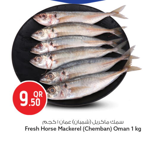 available at سفاري هايبر ماركت in قطر - الدوحة