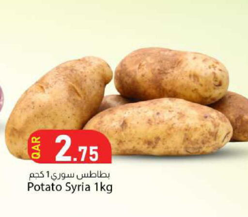 Potato from Syria available at دانا ماركت in قطر - الخور