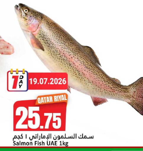 available at دانة هايبرماركت in قطر - الخور