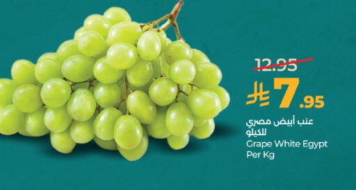 from Egypt available at لولو هايبرماركت in مملكة العربية السعودية, السعودية, سعودية - الطائف