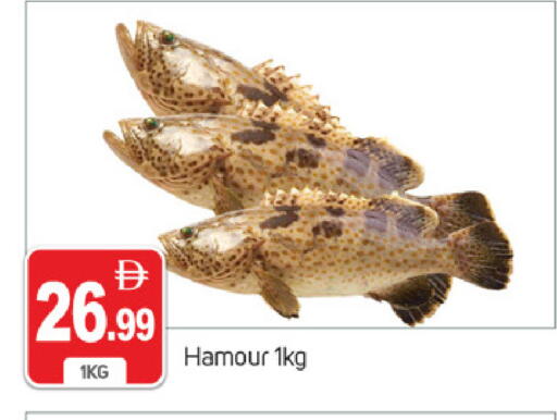 available at TALAL MARKET in UAE - Dubai