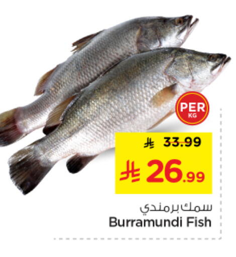 available at نستو in مملكة العربية السعودية, السعودية, سعودية - الخرج