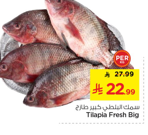 available at نستو in مملكة العربية السعودية, السعودية, سعودية - المجمعة