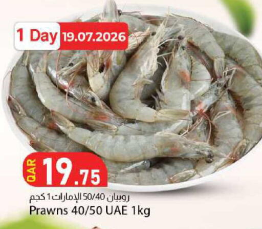 available at دانا ماركت in قطر - الخور