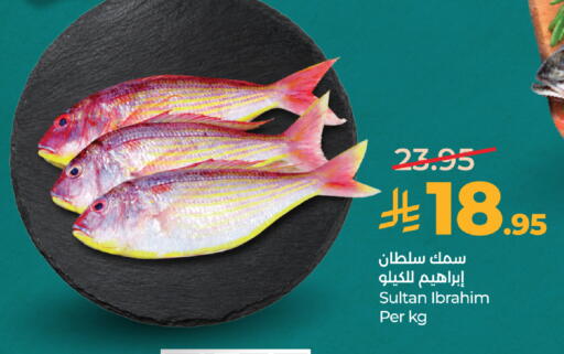 available at لولو هايبرماركت in مملكة العربية السعودية, السعودية, سعودية - الطائف