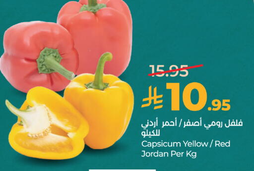 Capsicum from Jordan available at لولو هايبرماركت in مملكة العربية السعودية, السعودية, سعودية - الطائف