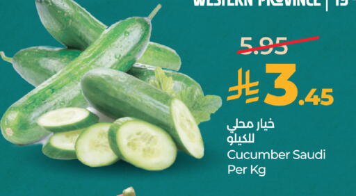 Cucumber from Saudi Arabia available at لولو هايبرماركت in مملكة العربية السعودية, السعودية, سعودية - الطائف