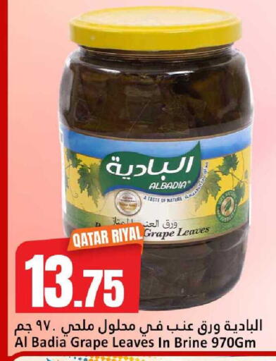 available at دانة هايبرماركت in قطر - الدوحة