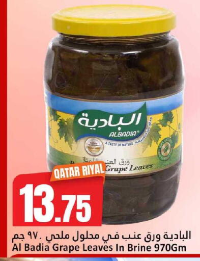 available at دانة هايبرماركت in قطر - الوكرة