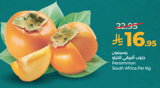 Persimmon from South Africa available at لولو هايبرماركت in مملكة العربية السعودية, السعودية, سعودية - الطائف
