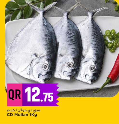 available at مرزا هايبرماركت in قطر - الشمال