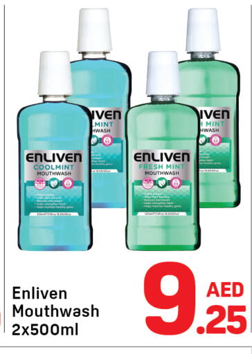 Mint available at Day to Day Department Store in UAE - Dubai