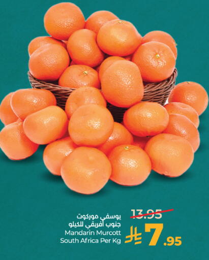 Mandarin from South Africa available at لولو هايبرماركت in مملكة العربية السعودية, السعودية, سعودية - الطائف