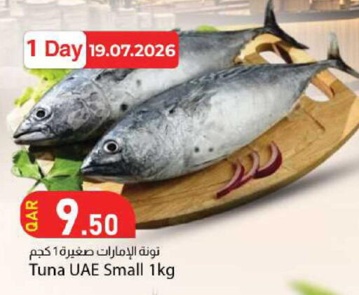 available at دانا ماركت in قطر - الخور
