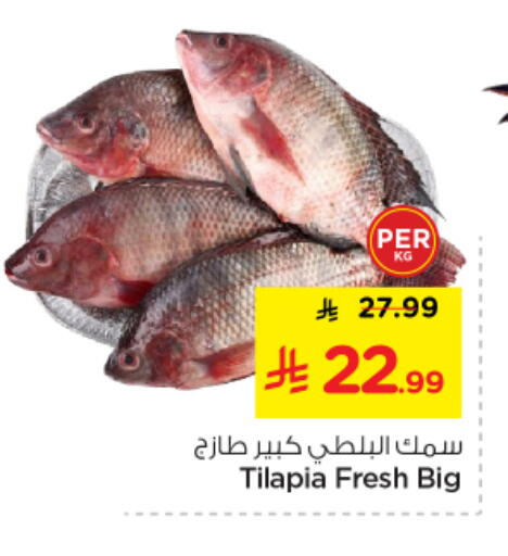 available at نستو in مملكة العربية السعودية, السعودية, سعودية - الخرج