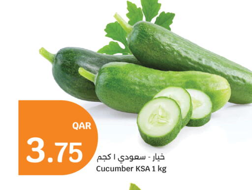 Cucumber available at سيتي هايبرماركت in قطر - الخور