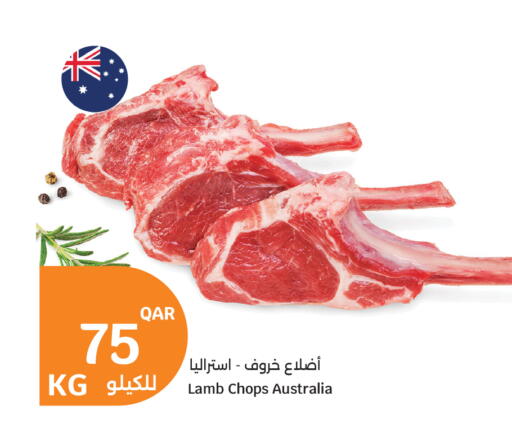 available at سيتي هايبرماركت in قطر - الوكرة