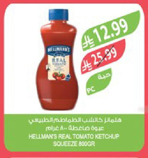 Tomato available at Farm  in KSA, Saudi Arabia, Saudi - Al-Kharj