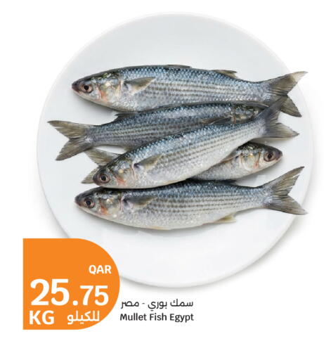 available at سيتي هايبرماركت in قطر - الخور