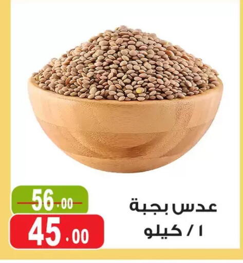 available at Ghoneim Market   in Egypt - Cairo