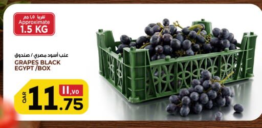 Grapes from Egypt available at السعودية in قطر - الشحانية