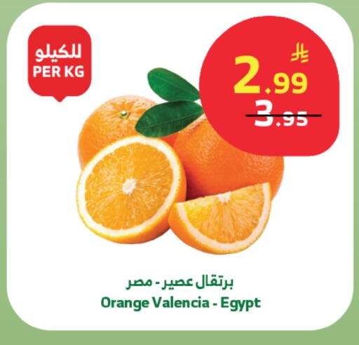 Orange from Egypt available at الراية in مملكة العربية السعودية, السعودية, سعودية - الطائف