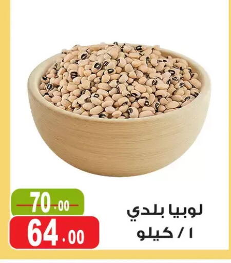 available at Ghoneim Market   in Egypt - Cairo