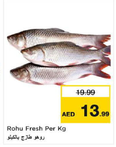 available at نستو هايبرماركت in الإمارات العربية المتحدة , الامارات - رَأْس ٱلْخَيْمَة