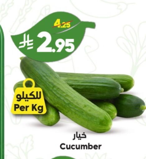 Cucumber available at الدكان in مملكة العربية السعودية, السعودية, سعودية - الطائف