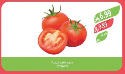 available at Farm  in KSA, Saudi Arabia, Saudi - Tabuk