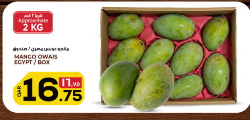 Mango from Egypt available at Saudia Hypermarket in Qatar - Al Wakra