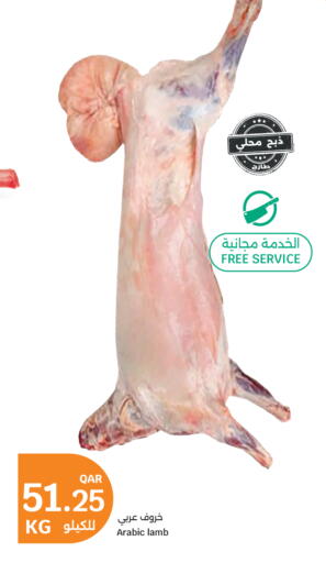 available at سيتي هايبرماركت in قطر - الوكرة