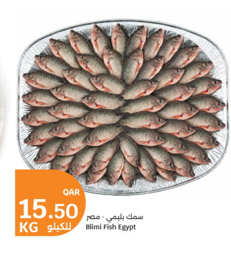 available at سيتي هايبرماركت in قطر - الخور