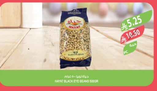 available at Farm  in KSA, Saudi Arabia, Saudi - Tabuk