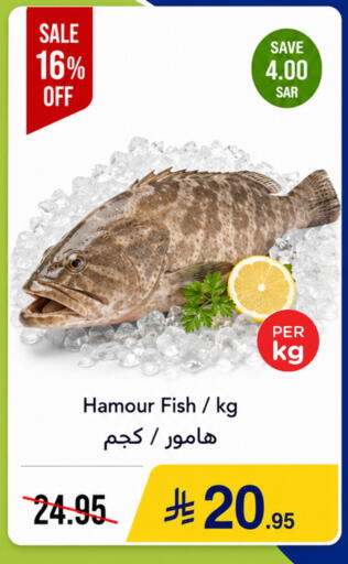 available at وهج مارت in مملكة العربية السعودية, السعودية, سعودية - جدة