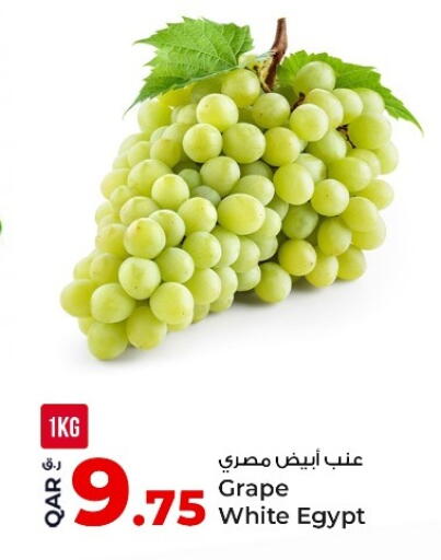 from Egypt available at Rawabi Hypermarket in Qatar - Al-Shahaniya