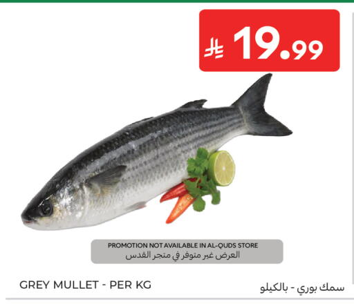 available at كارفور in مملكة العربية السعودية, السعودية, سعودية - جدة
