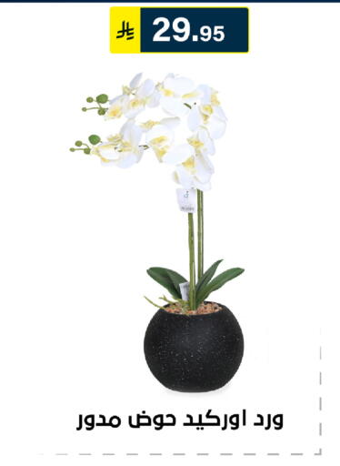 available at Al Hussain Top Up in KSA, Saudi Arabia, Saudi - Riyadh