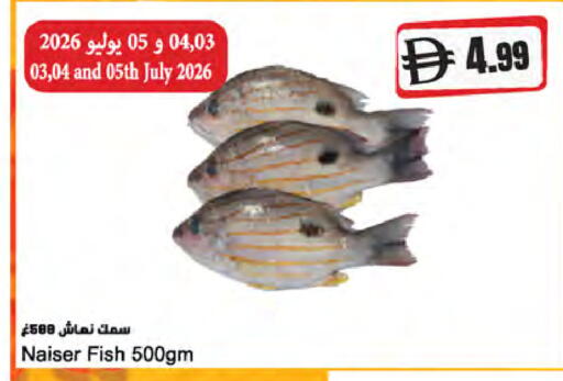 available at Almaya Supermarkets in UAE - Dubai