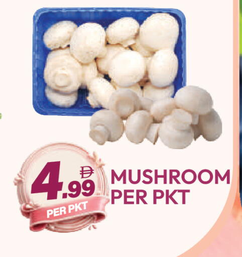 Mushroom available at دريم لاند in الإمارات العربية المتحدة , الامارات - دبي