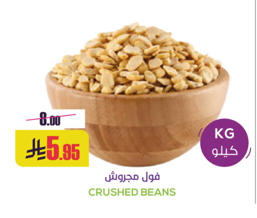 available at Sapt in KSA, Saudi Arabia, Saudi - Buraidah