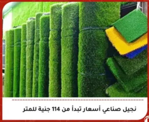available at المرشدي in Egypt - القاهرة