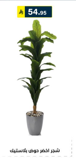 available at Al Hussain Top Up in KSA, Saudi Arabia, Saudi - Riyadh