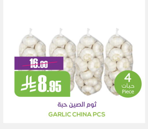 Garlic from China available at Sapt in KSA, Saudi Arabia, Saudi - Buraidah