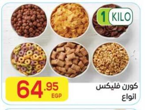 available at El Mahallawy Market  in Egypt - Cairo