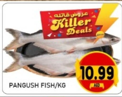 available at GREEN GIFT DEPARTMENT STORE in UAE - Abu Dhabi