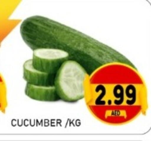 Cucumber available at GREEN GIFT DEPARTMENT STORE in UAE - Abu Dhabi
