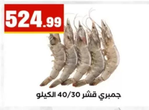 available at مارت فيل in Egypt - القاهرة