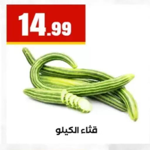 available at مارت فيل in Egypt - القاهرة